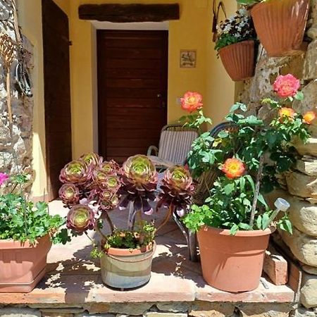 Casa Galla Ovada Εξωτερικό φωτογραφία