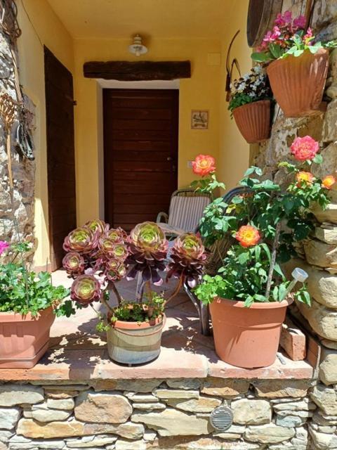 Casa Galla Ovada Εξωτερικό φωτογραφία